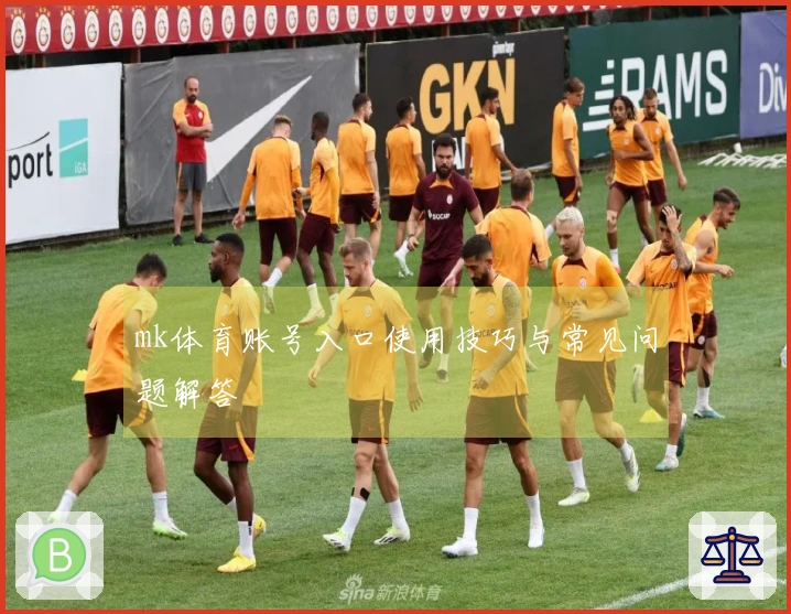 mk体育账号入口使用技巧与常见问题解答