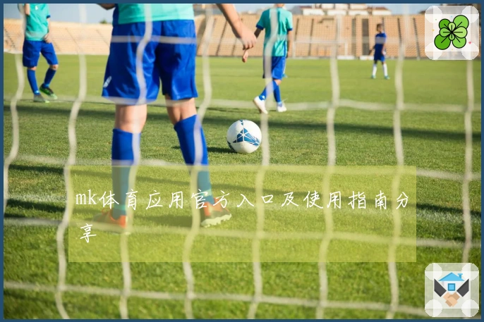 mk体育应用官方入口及使用指南分享